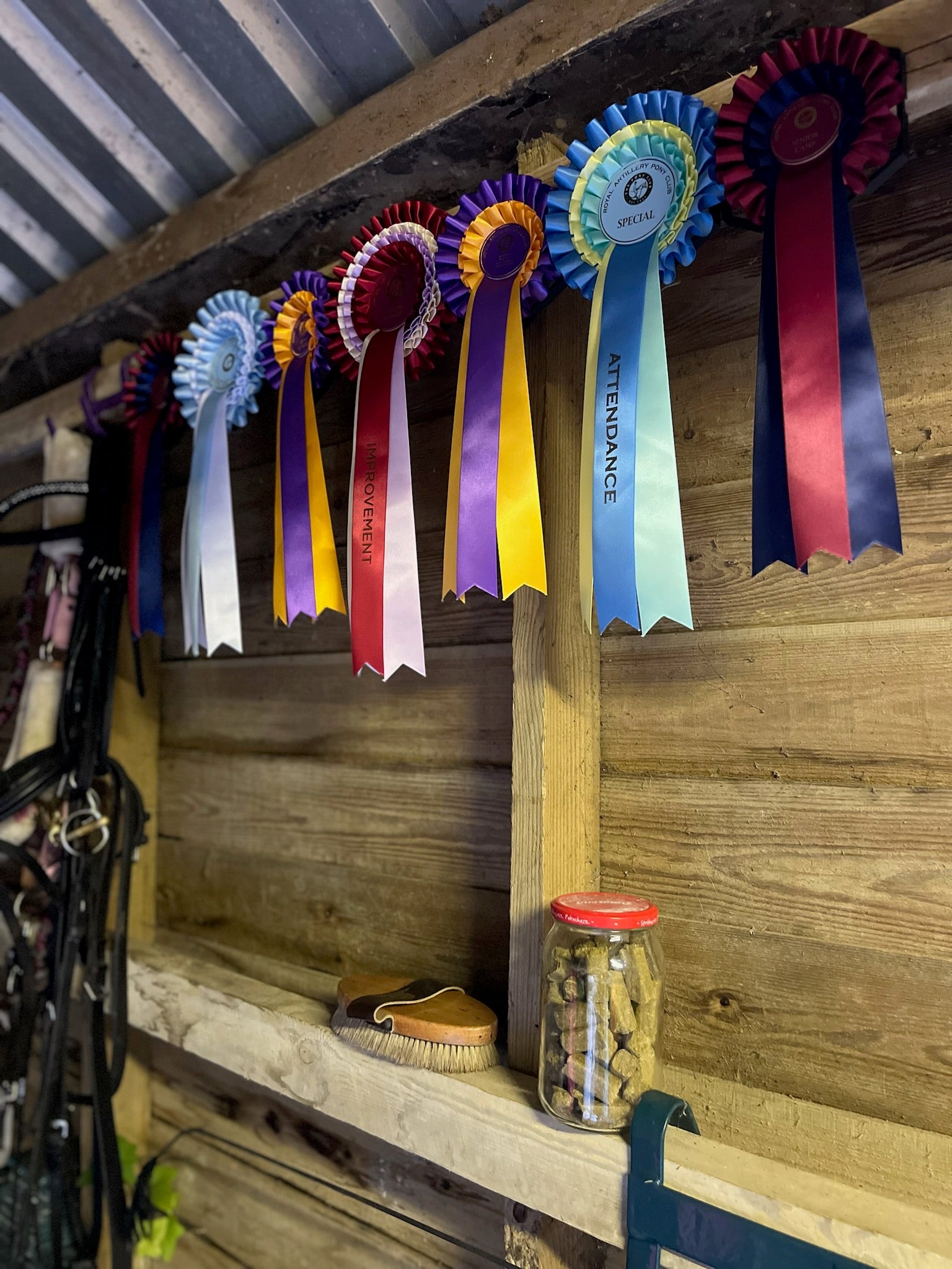 Baden Farm Rosette Display - Starter Kit