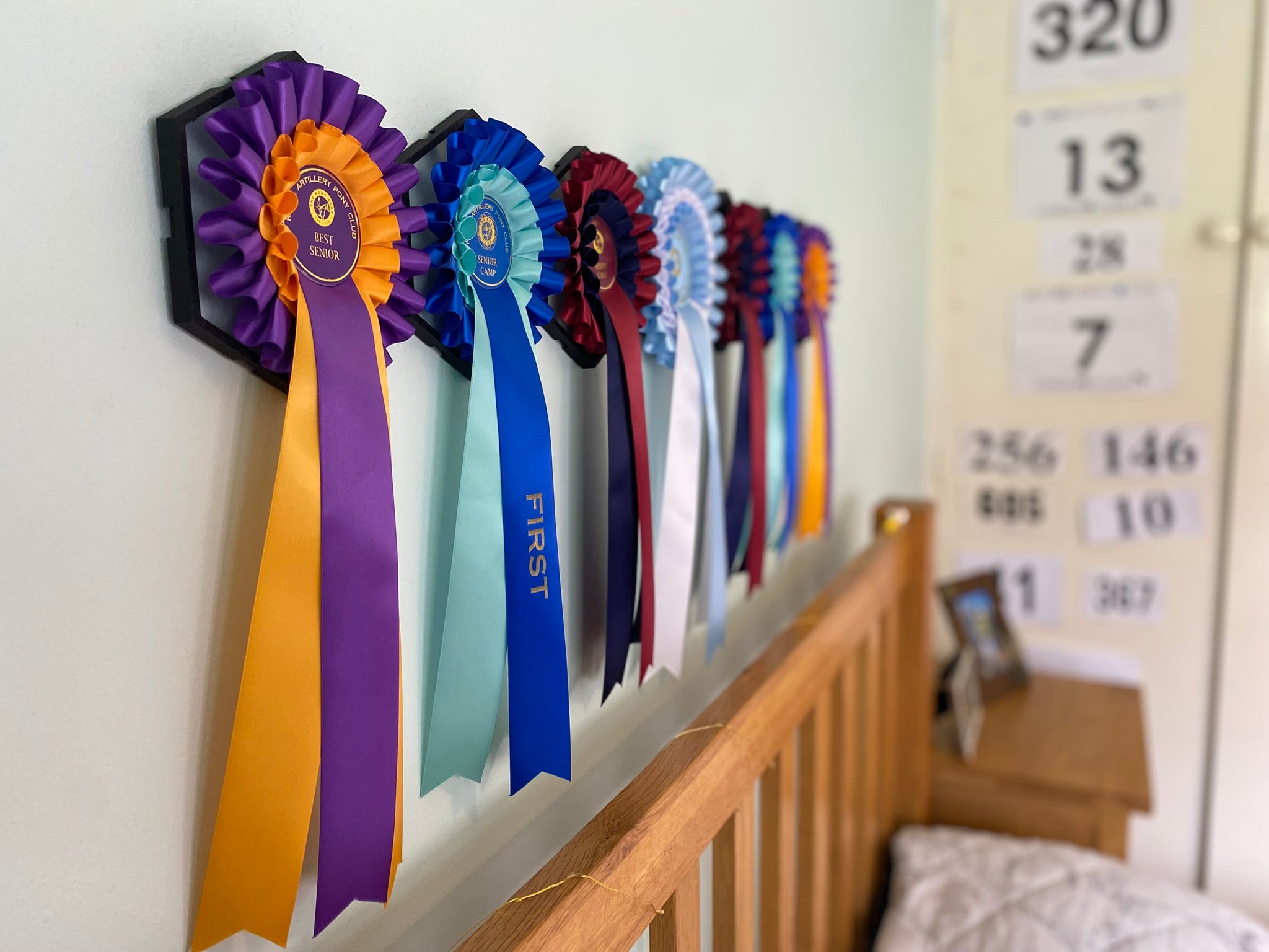 Baden Farm Rosette Display