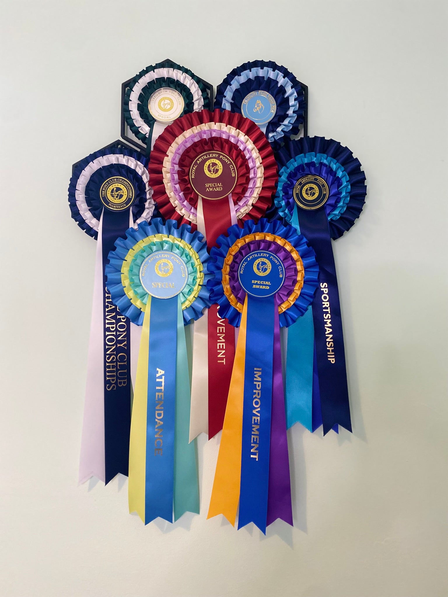 Baden Farm Rosette Display Starter Kit