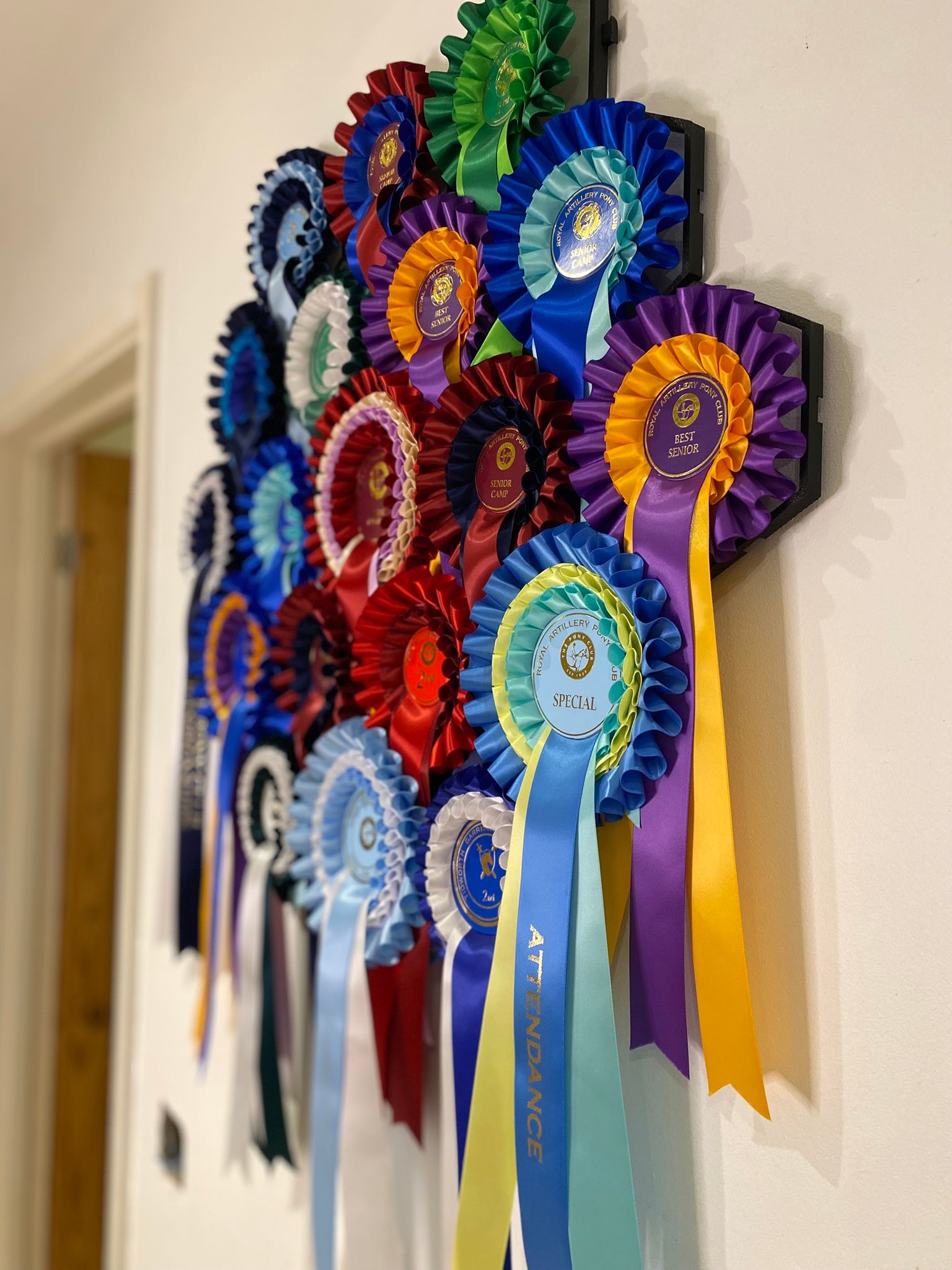 Baden Farm Rosette Display - Starter Kit