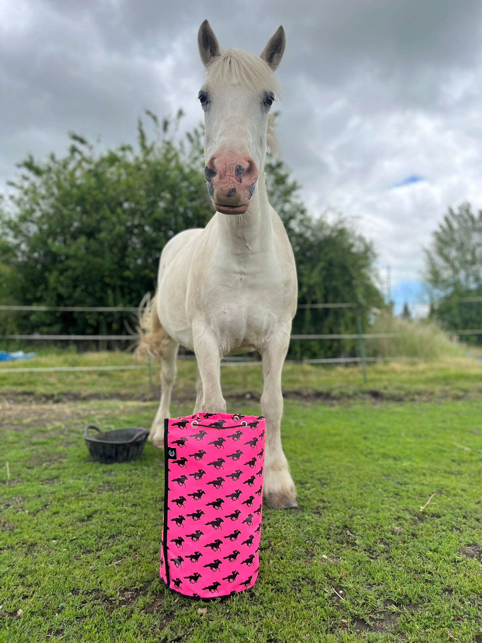 LIMITED EDITION Pink Kit Bags!